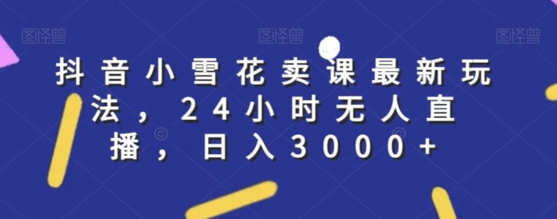 抖音小雪花卖课最新玩法，24小时无人直播，日入3000+【揭秘】-杨大侠副业网