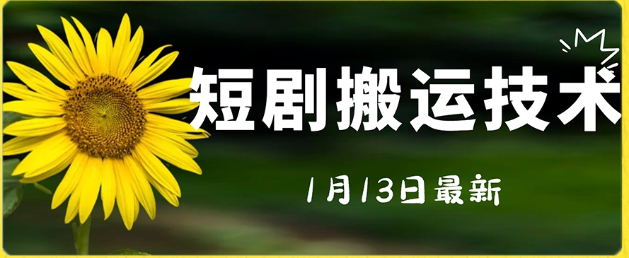 最新短剧搬运技术，电脑手机都可以操作，不限制机型-杨大侠副业网