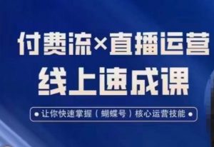 视频号付费流实操课程,付费流✖️直播运营速成课,让你快速掌握视频号核心运营技能-辉硕副业