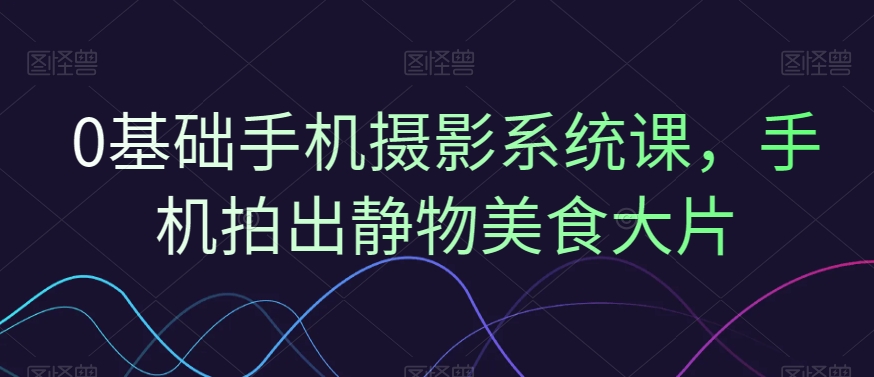 0基础手机摄影系统课，手机拍出静物美食大片-杨大侠副业网