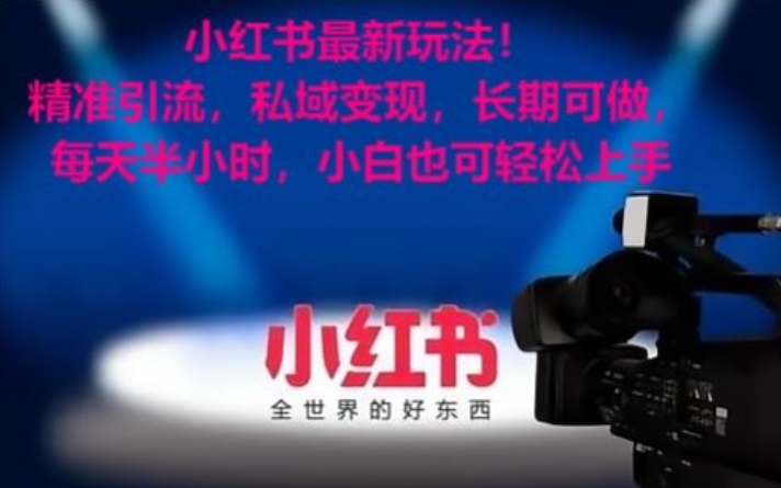小红书最新玩法！精准引流，私域变现，长期可做，每天半小时，小白也可轻松上手【揭秘】-杨大侠副业网