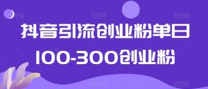抖音引流创业粉单日100-300创业粉【揭秘】-辉硕副业