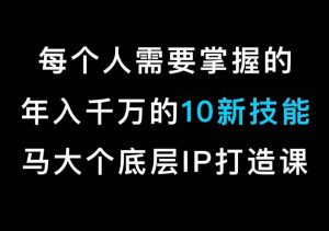 马大个的IP底层逻辑课,每个人需要掌握的年入千万的10新技能,约会底层IP打造方法!-辉硕副业