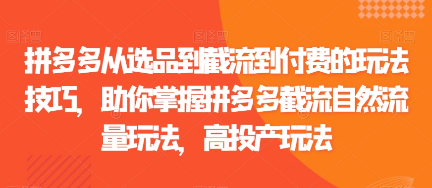 拼多多从选品到截流到付费的玩法技巧，助你掌握拼多多截流自然流量玩法，高投产玩法-杨大侠副业网
