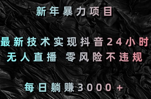 新年暴力项目，最新技术实现抖音24小时无人直播，零风险不违规，每日躺赚3000＋【揭秘】-辉硕副业