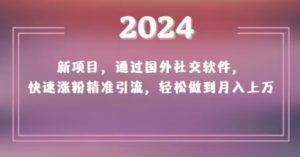 2024新项目,通过国外社交软件,快速涨粉精准引流,轻松做到月入上万【揭秘】-辉硕副业