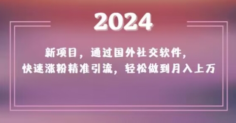 2024新项目，通过国外社交软件，快速涨粉精准引流，轻松做到月入上万【揭秘】-杨大侠副业网