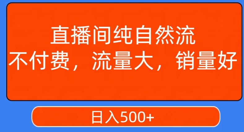 视频号直播间纯自然流，不付费，白嫖自然流，自然流量大，销售高，月入15000+【揭秘】-辉硕副业