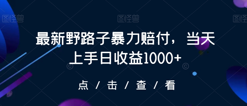 最新野路子暴力赔付，当天上手日收益1000+【仅揭秘】-杨大侠副业网
