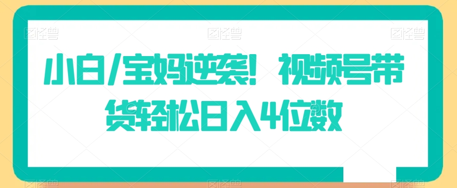 小白/宝妈逆袭！视频号带货轻松日入4位数【揭秘】-辉硕副业