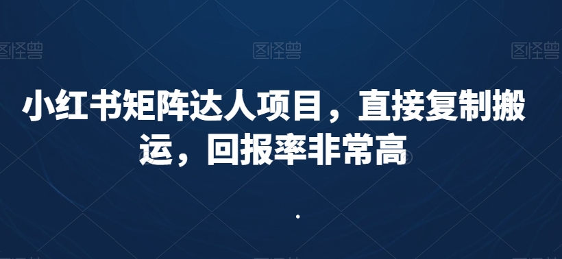 小红书矩阵达人项目，直接复制搬运，回报率非常高-辉硕副业