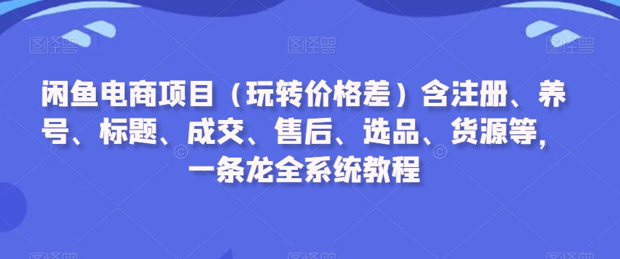 闲鱼电商项目（玩转价格差）含注册、养号、标题、成交、售后、选品、货源等，一条龙全系统教程-杨大侠副业网