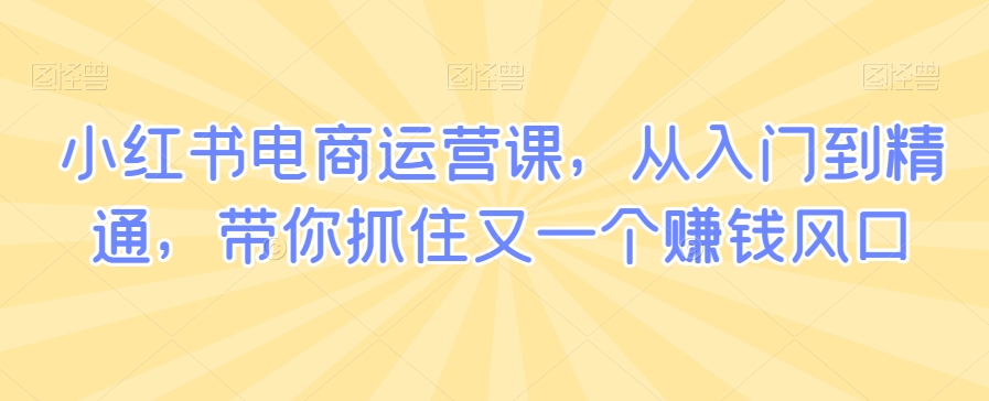 小红书电商运营课，从入门到精通，带你抓住又一个赚钱风口-辉硕副业