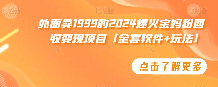 外面卖1999的2024爆火宝妈粉回收变现项目【全套软件+玩法】【揭秘】-杨大侠副业网