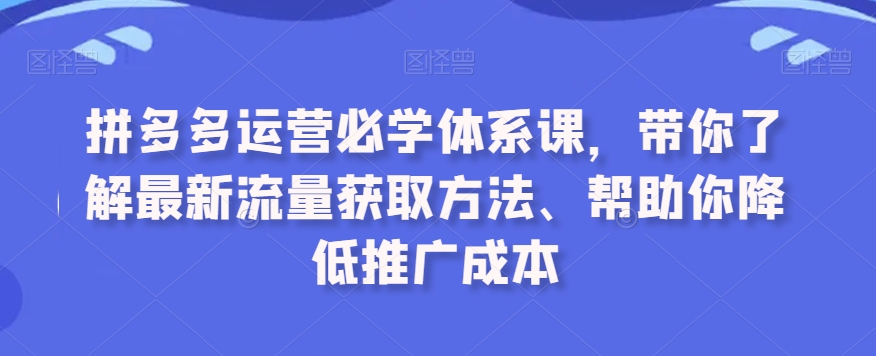 拼多多运营必学体系课，带你了解最新流量获取方法、帮助你降低推广成本-杨大侠副业网
