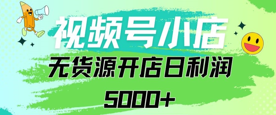 视频号无货源小店从0到1日订单量千单以上纯利润稳稳5000+【揭秘】-辉硕副业