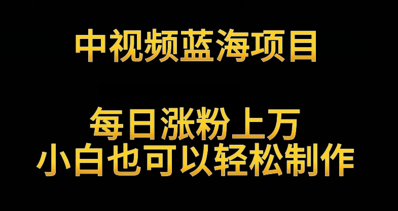 中视频蓝海项目，解读英雄人物生平，每日涨粉上万，小白也可以轻松制作，月入过万不是梦【揭秘】-杨大侠副业网