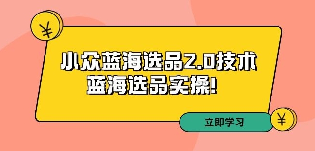 拼多多培训第33期：小众蓝海选品2.0技术-蓝海选品实操！-杨大侠副业网