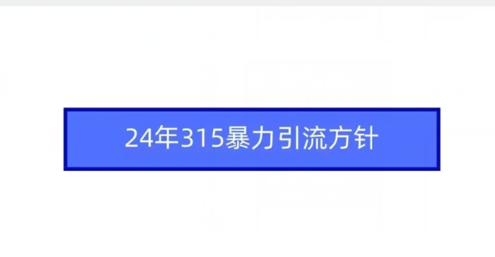 24年315暴力引流方针-杨大侠副业网