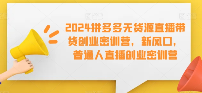 2024拼多多无货源直播带货创业密训营，新风口，普通人直播创业密训营-杨大侠副业网