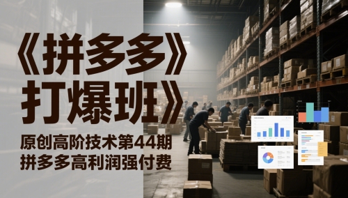 《拼多多打爆班》原创高阶技术第44期，拼多多高利润强付费-辉硕副业