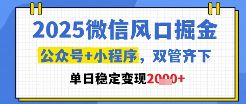 2025微信风口掘金，公众号+小程序双管齐下，单日稳定变现1k+【揭秘】-辉硕副业