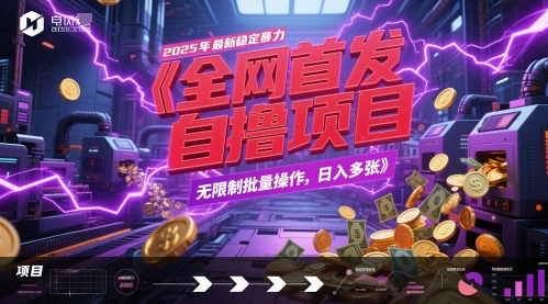 全网首发，2025年最新稳定暴力全自动自撸项目，无限制批量操作，日入多张【揭秘】-辉硕副业