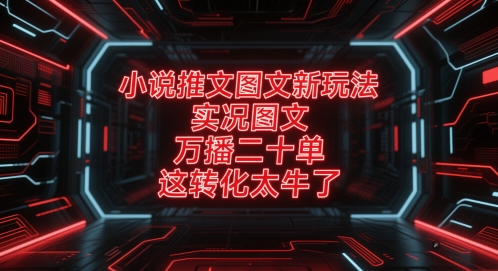 小说推文图文新玩法，实况图文，万播二十单，这转化太牛了！-辉硕副业