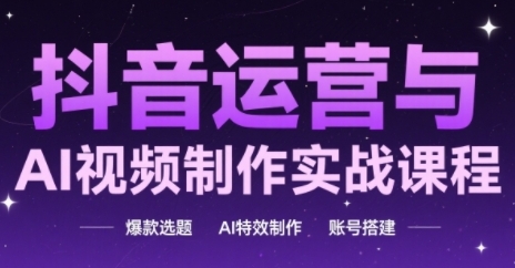 抖音运营与AI视频制作实战课程，爆款选题-AI特效制作-账号搭建-辉硕副业
