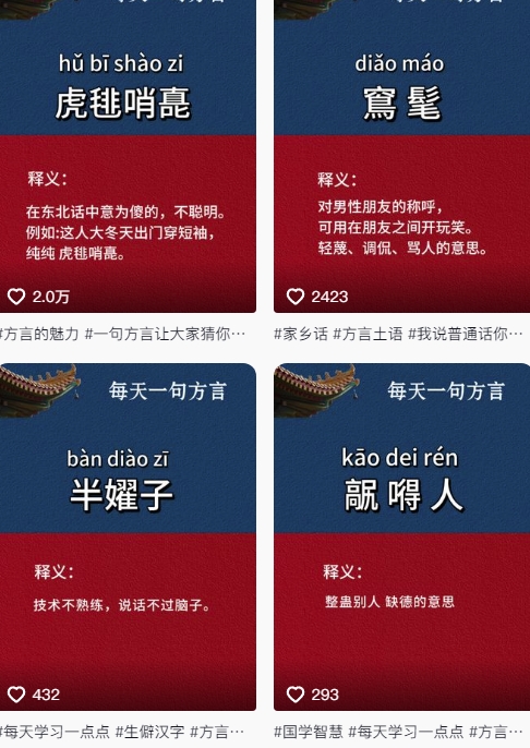 抖音最新涨粉玩法，图文方言暴力涨粉实操，126作品涨粉11W-辉硕副业