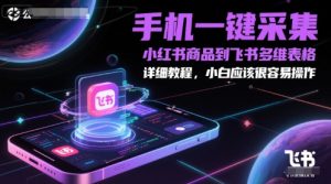 手机一键采集小红书商品到飞书多维表格，详细教程，小白应该很容易操作-辉硕副业