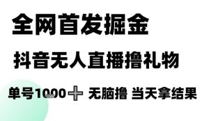 全网首发掘金抖音无人直播撸礼物，单号1k +无脑撸，当天拿结果【揭秘】-辉硕副业