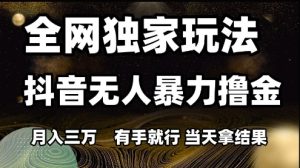 全网独家玩法抖音无人暴力撸金,月入3W,有手就行,当天拿结果【揭秘】-辉硕副业