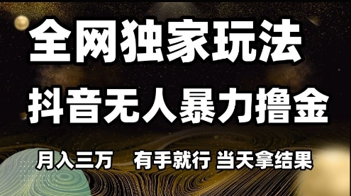 全网独家玩法抖音无人暴力撸金，月入3W，有手就行，当天拿结果【揭秘】-辉硕副业