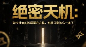付费文章:绝密天机:如今社会的阶层攀升之路,也就只剩这么一条了-辉硕副业