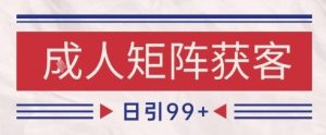 小红书某音橙人赛道引流获客，自热矩阵日引200+【揭秘】-辉硕副业