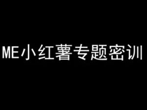 ME小红薯专题密训-小红书电商教程-辉硕副业