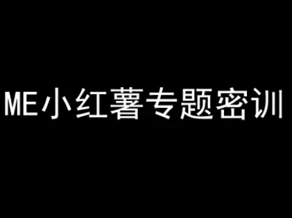 ME小红薯专题密训-小红书电商教程-辉硕副业