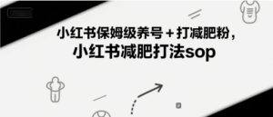 小红书保姆级养号+打减肥粉，小红书减肥打法sop-辉硕副业
