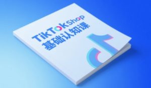 TikTok小店基础认知课,助力学员从 0 到 1 掌握 TikTok 电商运营全链路认知-辉硕副业