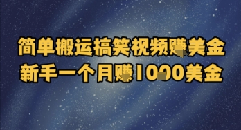 简单搬运搞笑视频挣美金，新手一个月入1k美金-辉硕副业