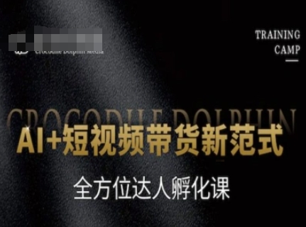 AI+短视频带货新范式，全方位达人孵化课-辉硕副业