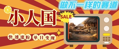 DeepSeek+绘图+视频制作小人国微观视频，小白轻轻松松上手，条条爆款，条条变现，单日就能收益-辉硕副业