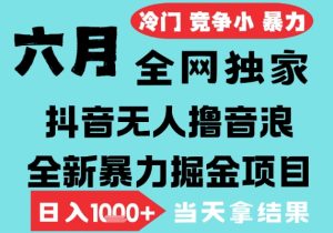 2025年6月高爆抖音无人直播最新撸音浪掘金项目,无脑日入1k+,低门槛小白可做,可矩阵放大【揭秘】-辉硕副业