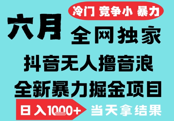 2025年6月高爆抖音无人直播最新撸音浪掘金项目，无脑日入1k+，低门槛小白可做，可矩阵放大【揭秘】-辉硕副业