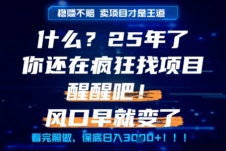 什么？25年你还在疯狂找项目做，醒醒吧，看完这些你全都懂了！【揭秘】-辉硕副业