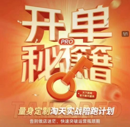 淘宝开单秘籍PRO，量身定制淘天实战陪跑计划，告别做店迷茫、快速突破运营瓶颈期（更新6月）-辉硕副业
