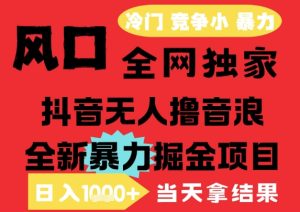 25年6月高爆抖音无人直播最新撸音浪掘金项目,解放双手小白可做,无脑日入1k+,门槛低【揭秘】-辉硕副业