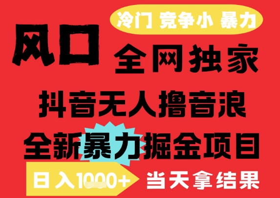25年6月高爆抖音无人直播最新撸音浪掘金项目，解放双手小白可做，无脑日入1k+，门槛低【揭秘】-辉硕副业