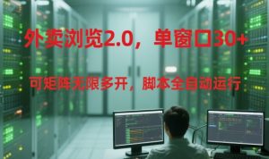 外卖浏览2.0,单窗口30+可矩阵无限多开,脚本全自动运行【揭秘】-辉硕副业